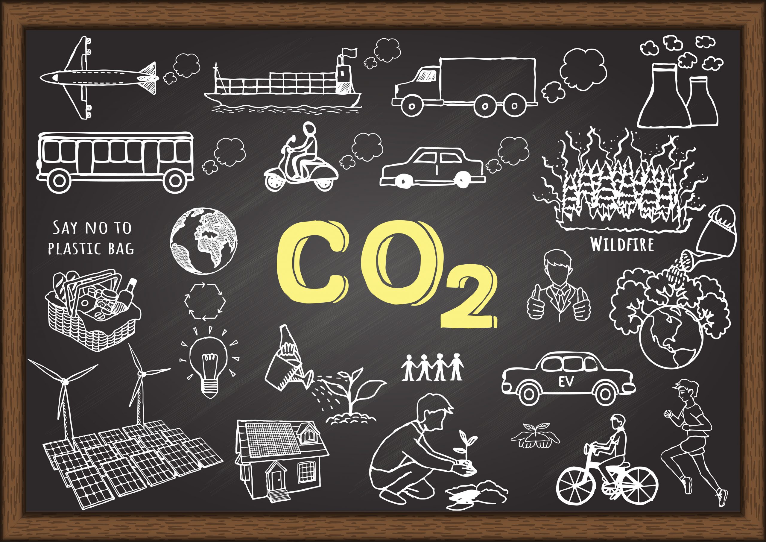 Separation and Capture of CO2 Toward Carbon Neutrality