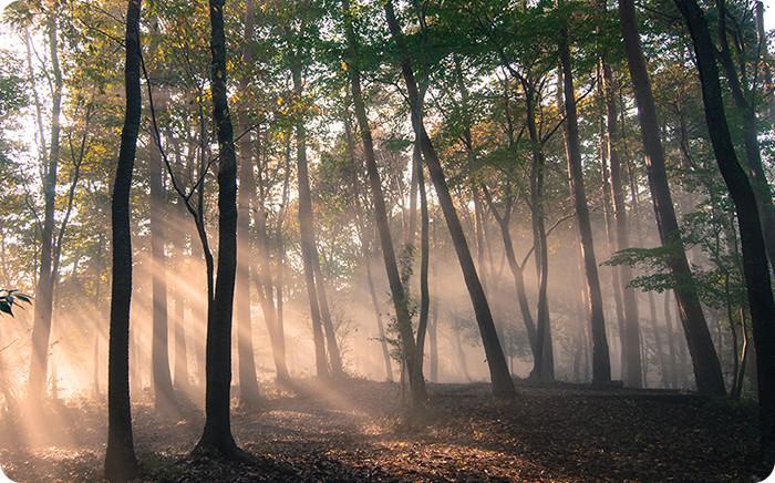 Science Tokyo GXI 2026年度 第2回セミナー・第1回テックミーティング「森林GXと建物・環境GXによる資源利用とCO2排出削減の最前線」